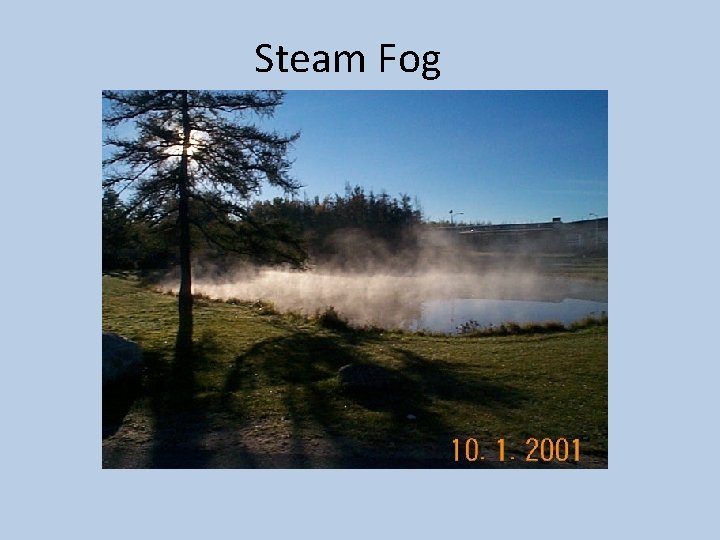 Steam Fog 