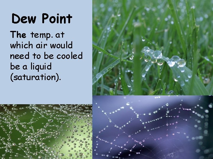 Dew Point The temp. at which air would need to be cooled be a