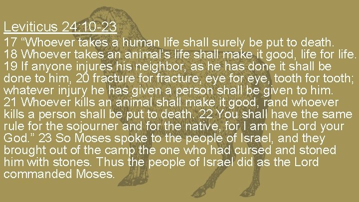 Leviticus 24: 10 -23 17 “Whoever takes a human life shall surely be put