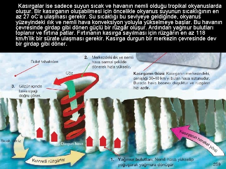  Kasırgalar ise sadece suyun sıcak ve havanın nemli olduğu tropikal okyanuslarda oluşur. Bir