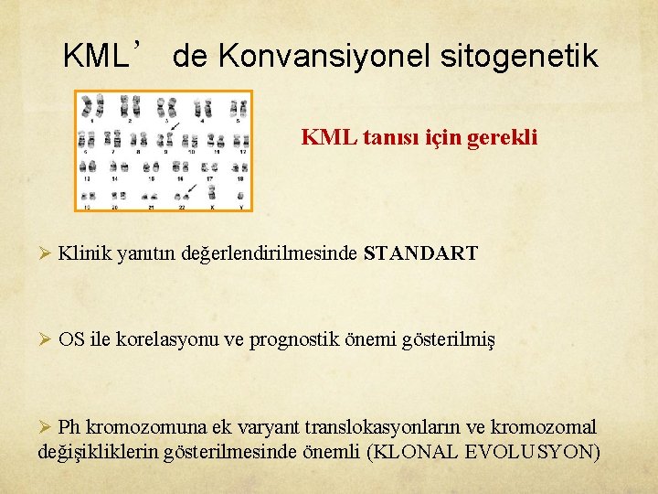 KML’ de Konvansiyonel sitogenetik KML tanısı için gerekli Ø Klinik yanıtın değerlendirilmesinde STANDART Ø