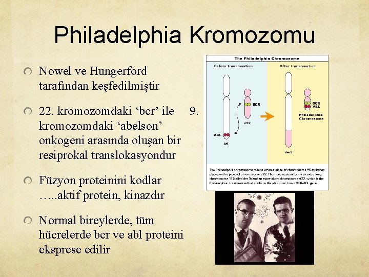 Philadelphia Kromozomu Nowel ve Hungerford tarafından keşfedilmiştir 22. kromozomdaki ‘bcr’ ile 9. kromozomdaki ‘abelson’