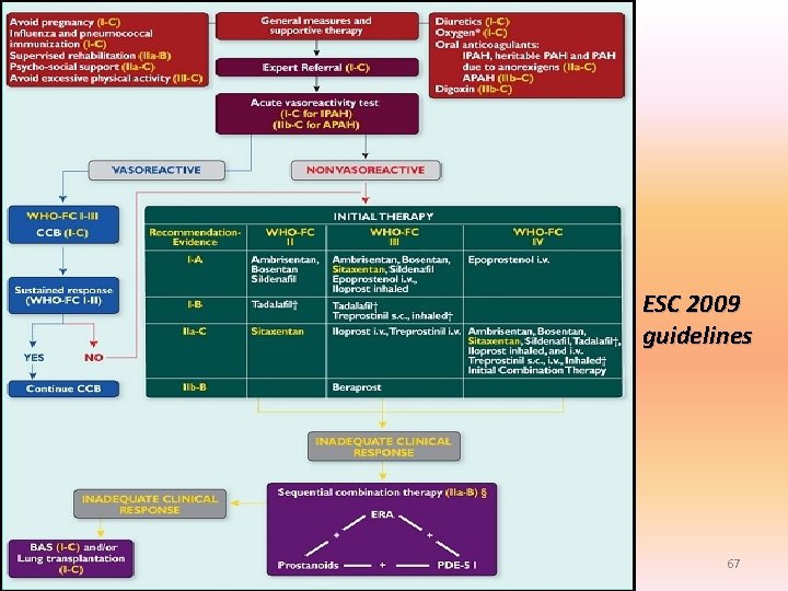 ESC 2009 guidelines 67 ESC 2009 guidelines 67