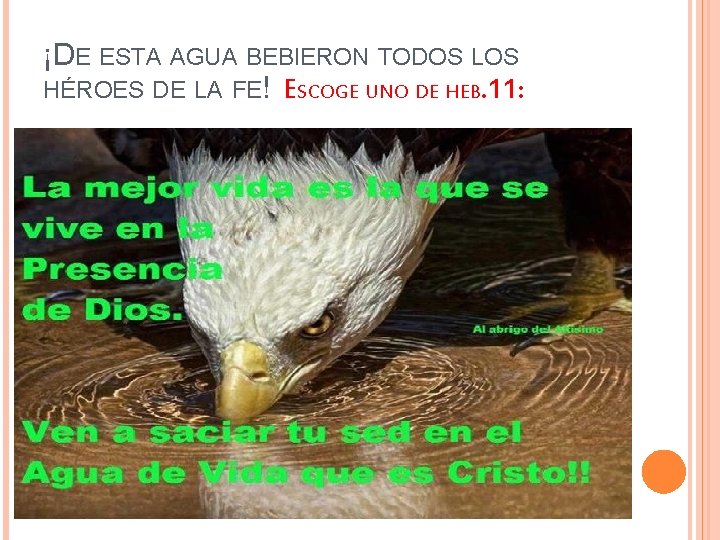 ¡DE ESTA AGUA BEBIERON TODOS LOS HÉROES DE LA FE! ESCOGE UNO DE HEB.
