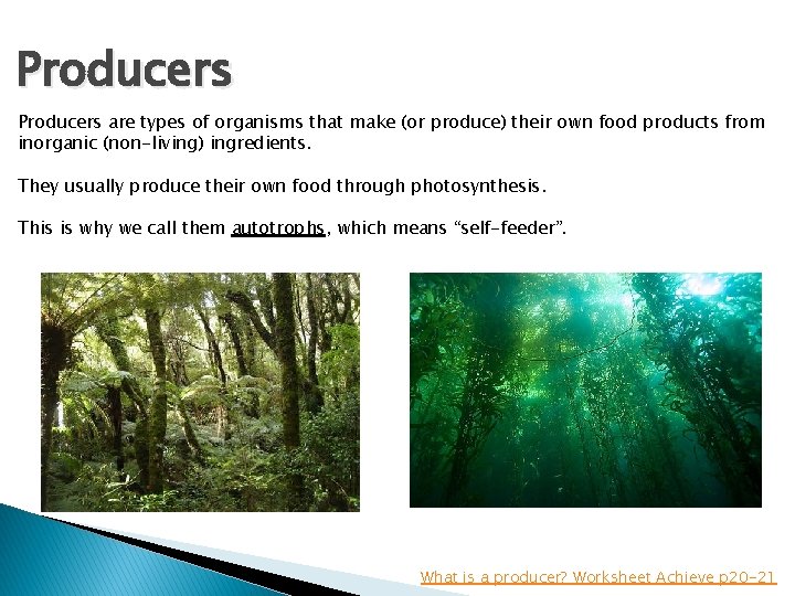 Producers are types of organisms that make (or produce) their own food products from