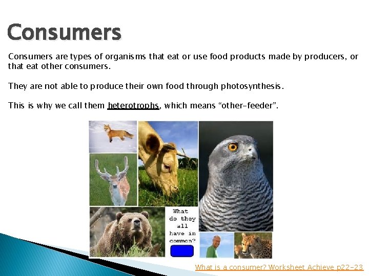 Consumers are types of organisms that eat or use food products made by producers,