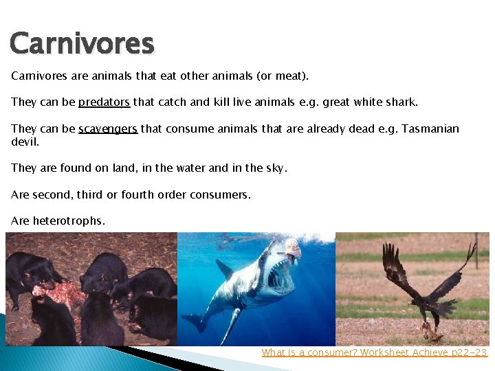 Carnivores are animals that eat other animals (or meat). They can be predators that