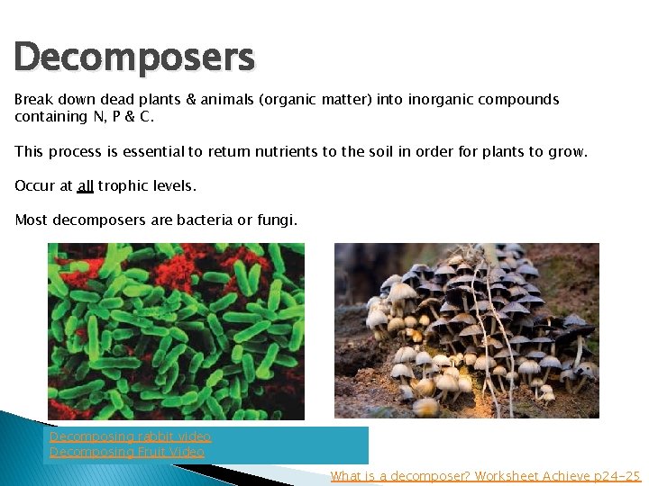 Decomposers Break down dead plants & animals (organic matter) into inorganic compounds containing N,