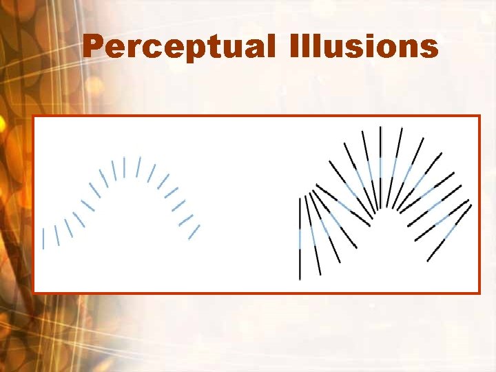 Perceptual Illusions 