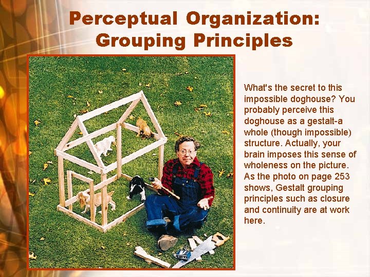 Perceptual Organization: Grouping Principles What's the secret to this impossible doghouse? You probably perceive