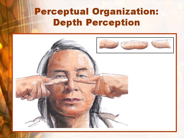 Perceptual Organization: Depth Perception 