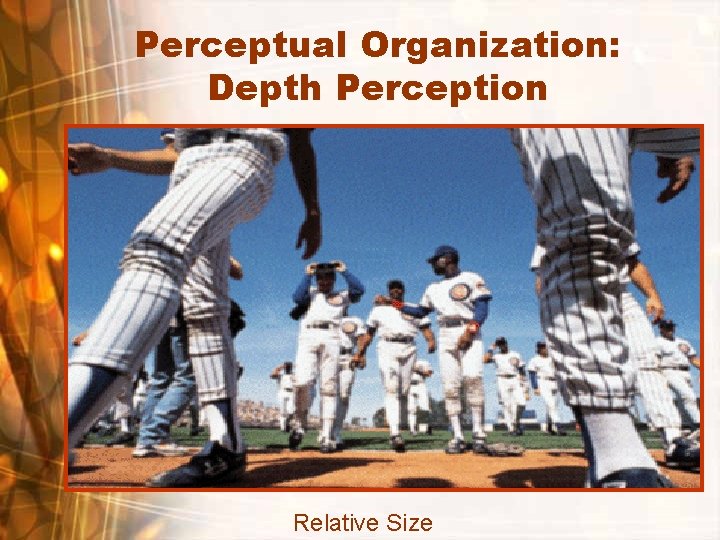 Perceptual Organization: Depth Perception Relative Size 