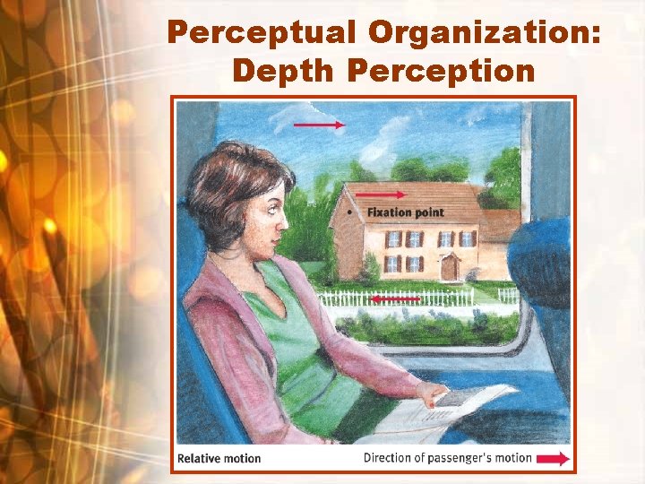 Perceptual Organization: Depth Perception 