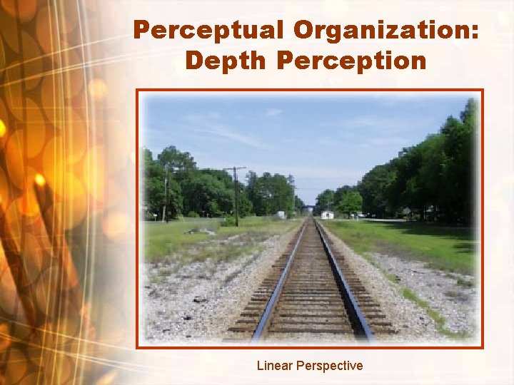 Perceptual Organization: Depth Perception Linear Perspective 