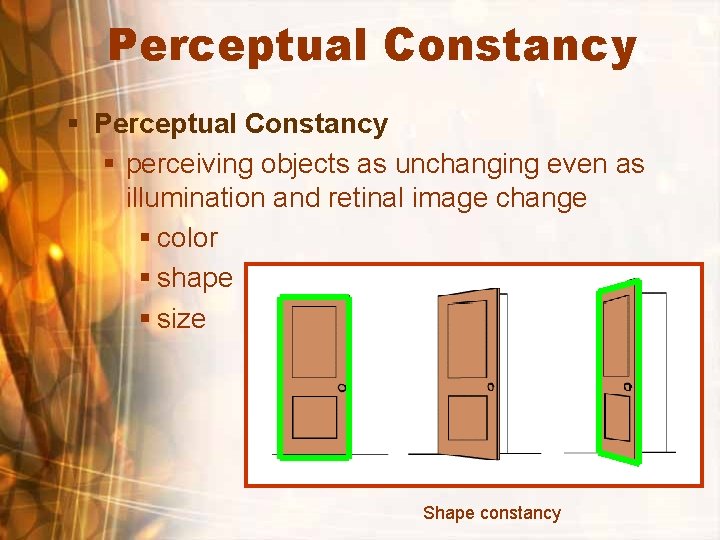 Perceptual Constancy § perceiving objects as unchanging even as illumination and retinal image change