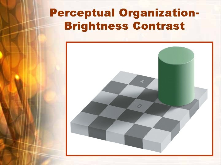 Perceptual Organization. Brightness Contrast 