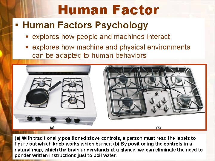 Human Factor § Human Factors Psychology § explores how people and machines interact §