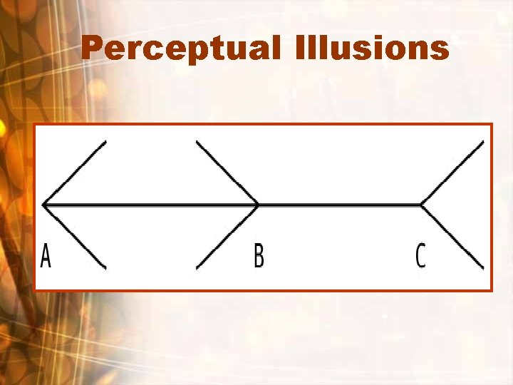 Perceptual Illusions 