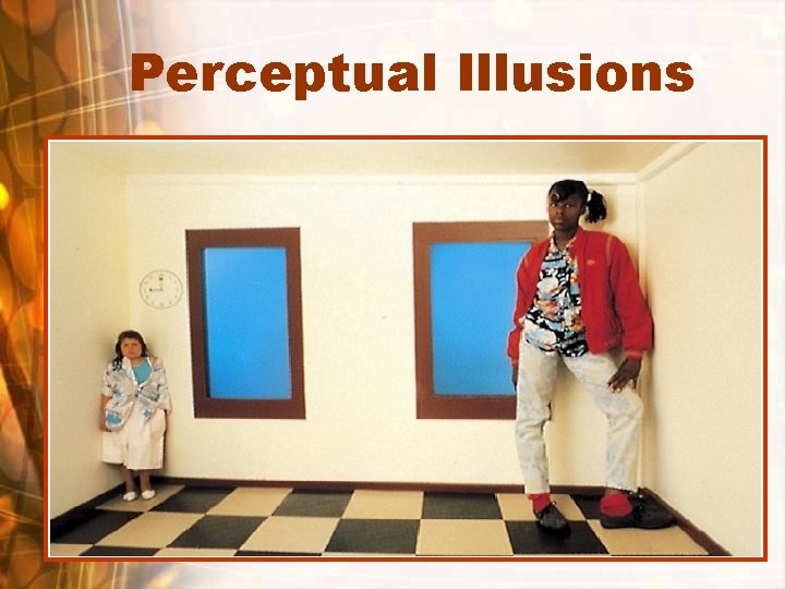 Perceptual Illusions 