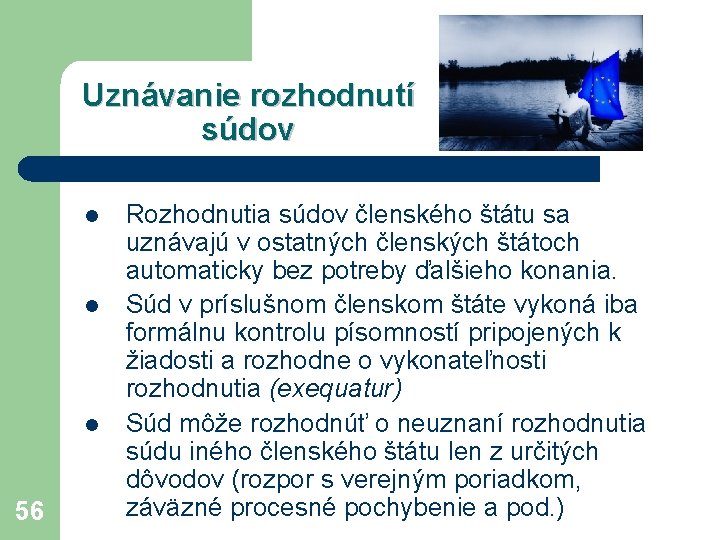 Uznávanie rozhodnutí súdov l l l 56 Rozhodnutia súdov členského štátu sa uznávajú v