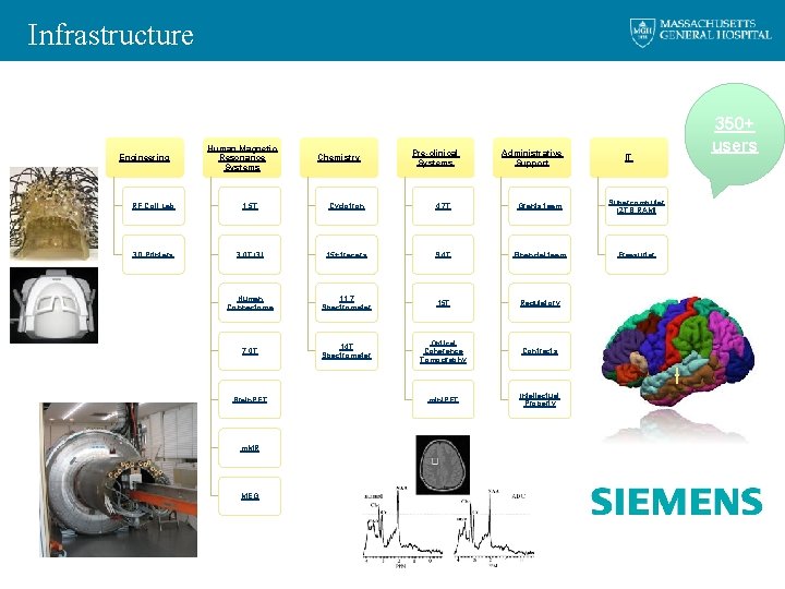 Infrastructure Engineering Human Magnetic Resonance Systems Chemistry Pre-clinical Systems Administrative Support IT RF Coil