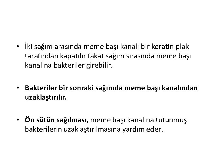  • İki sağım arasında meme başı kanalı bir keratin plak tarafından kapatılır fakat