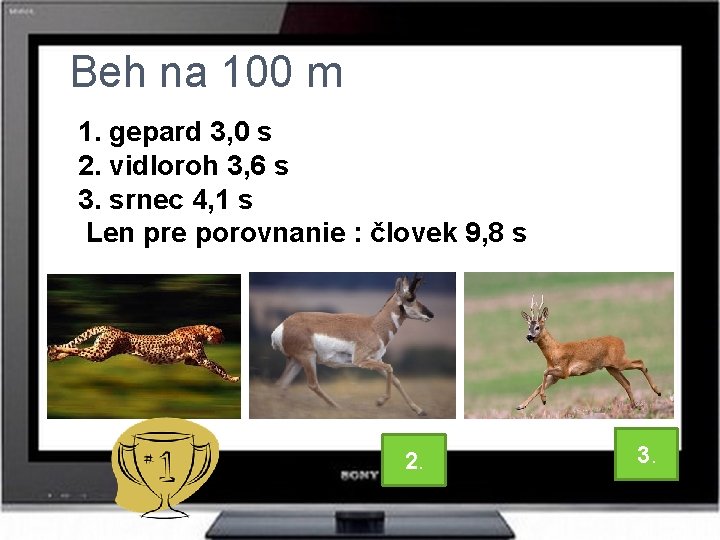 Beh na 100 m 1. gepard 3, 0 s 2. vidloroh 3, 6 s