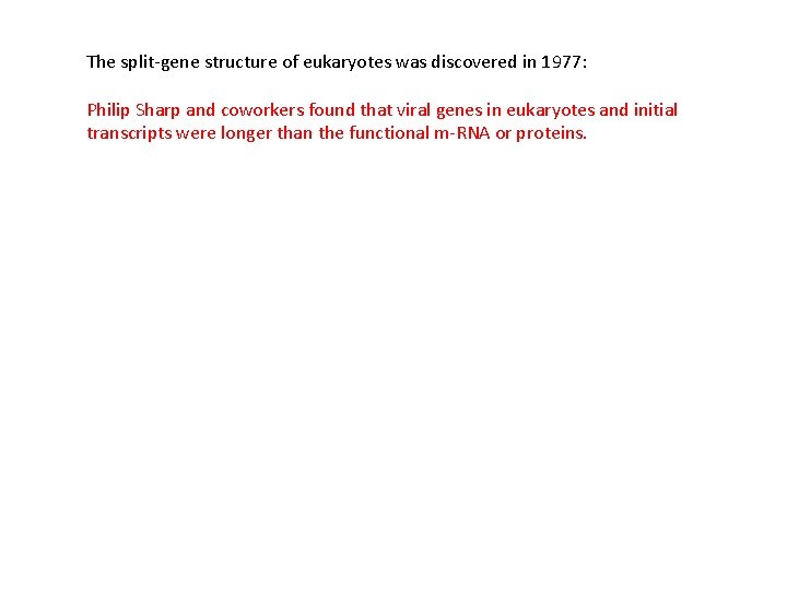 The split-gene structure of eukaryotes was discovered in 1977: Philip Sharp and coworkers found