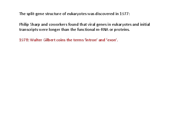 The split-gene structure of eukaryotes was discovered in 1977: Philip Sharp and coworkers found