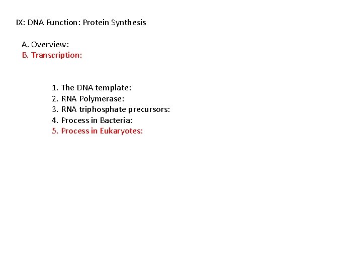 IX: DNA Function: Protein Synthesis A. Overview: B. Transcription: 1. The DNA template: 2.