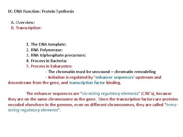 IX: DNA Function: Protein Synthesis A. Overview: B. Transcription: 1. The DNA template: 2.