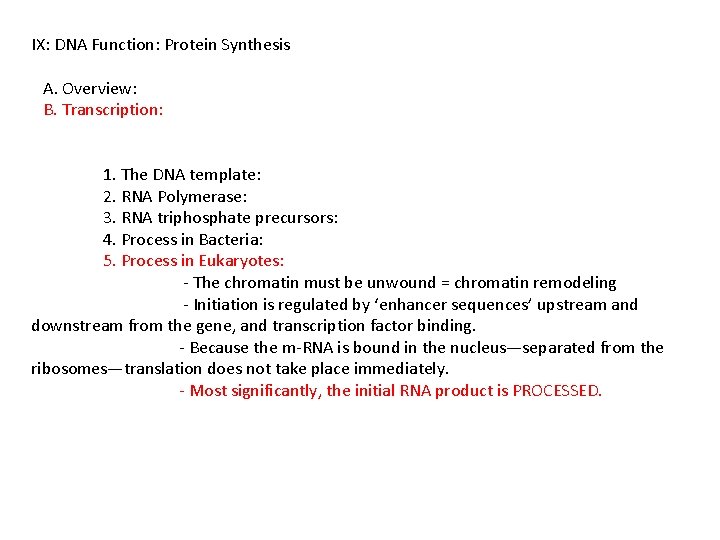 IX: DNA Function: Protein Synthesis A. Overview: B. Transcription: 1. The DNA template: 2.