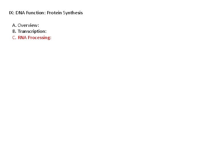 IX: DNA Function: Protein Synthesis A. Overview: B. Transcription: C. RNA Processing: 