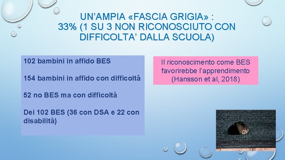 UN’AMPIA «FASCIA GRIGIA» : 33% (1 SU 3 NON RICONOSCIUTO CON DIFFICOLTA’ DALLA SCUOLA)