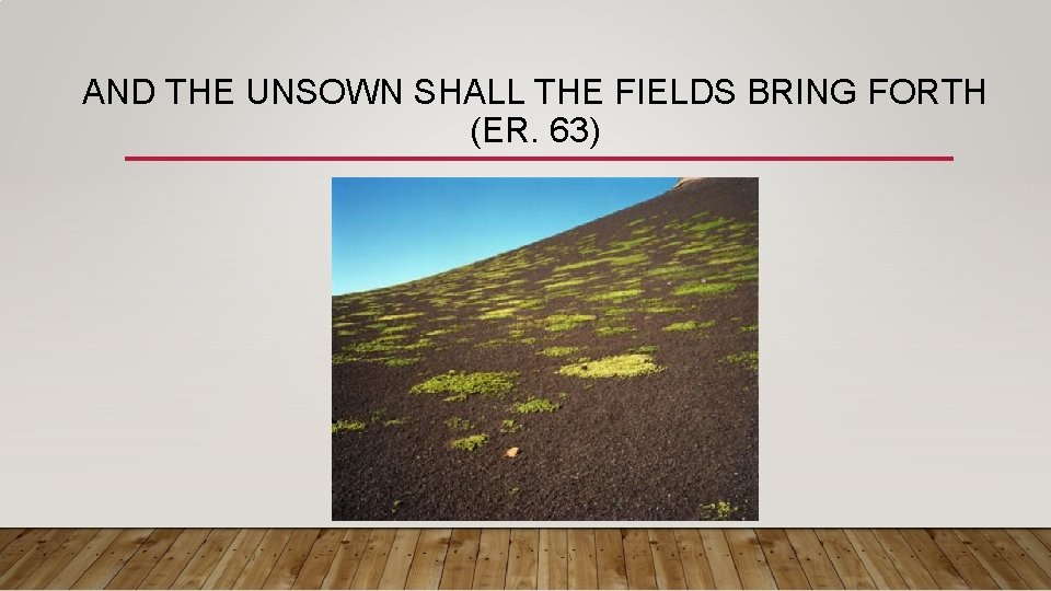 AND THE UNSOWN SHALL THE FIELDS BRING FORTH (ER. 63) 