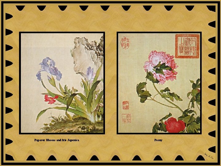 Papaver Rhoeas and Iris Japonica Peony 