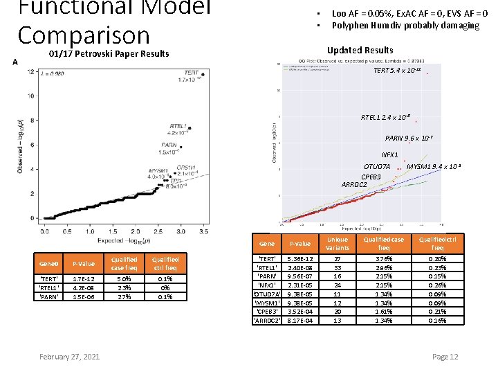 Functional Model Comparison • • Loo AF = 0. 05%, Ex. AC AF =