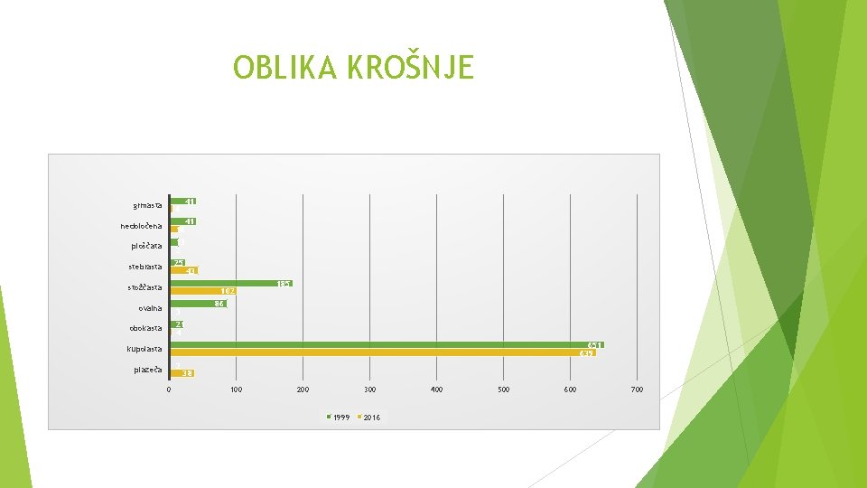 OBLIKA KROŠNJE grmasta 41 6 41 16 nedoločena ploščata 13 2 stebrasta 25 43