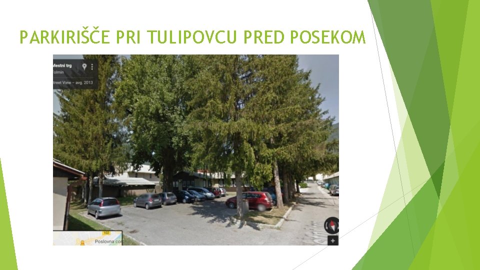 PARKIRIŠČE PRI TULIPOVCU PRED POSEKOM PARKIRIŠČE PRI TULIPOVCU PRED POSEKOM