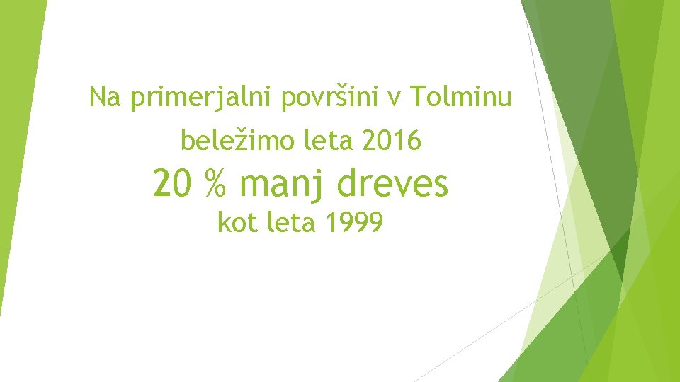 Na primerjalni površini v Tolminu beležimo leta 2016 20 % manj dreves kot leta