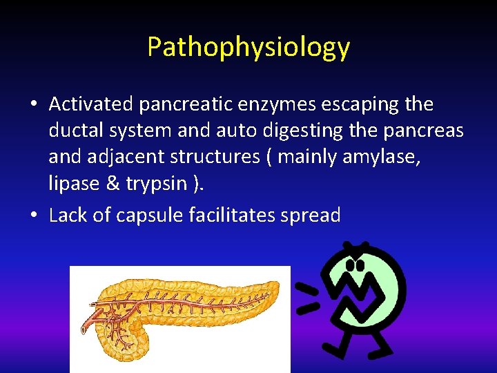 Pathophysiology • Activated pancreatic enzymes escaping the ductal system and auto digesting the pancreas