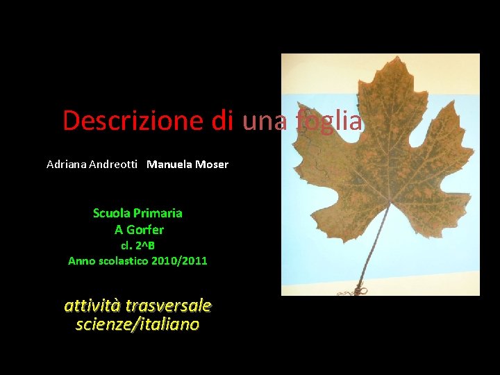 Descrizione di una foglia Adriana Andreotti Manuela Moser Scuola Primaria A Gorfer cl. 2^B