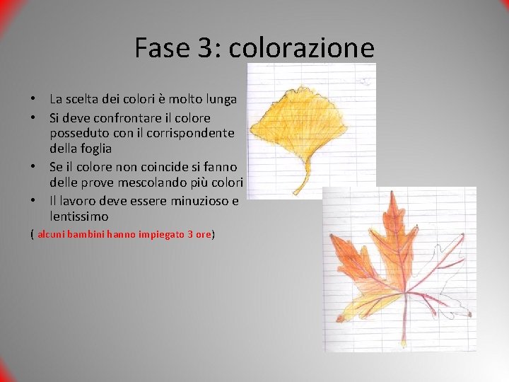 Fase 3: colorazione • La scelta dei colori è molto lunga • Si deve Fase 3: colorazione • La scelta dei colori è molto lunga • Si deve