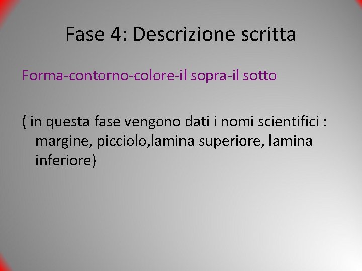 Fase 4: Descrizione scritta Forma-contorno-colore-il sopra-il sotto ( in questa fase vengono dati i
