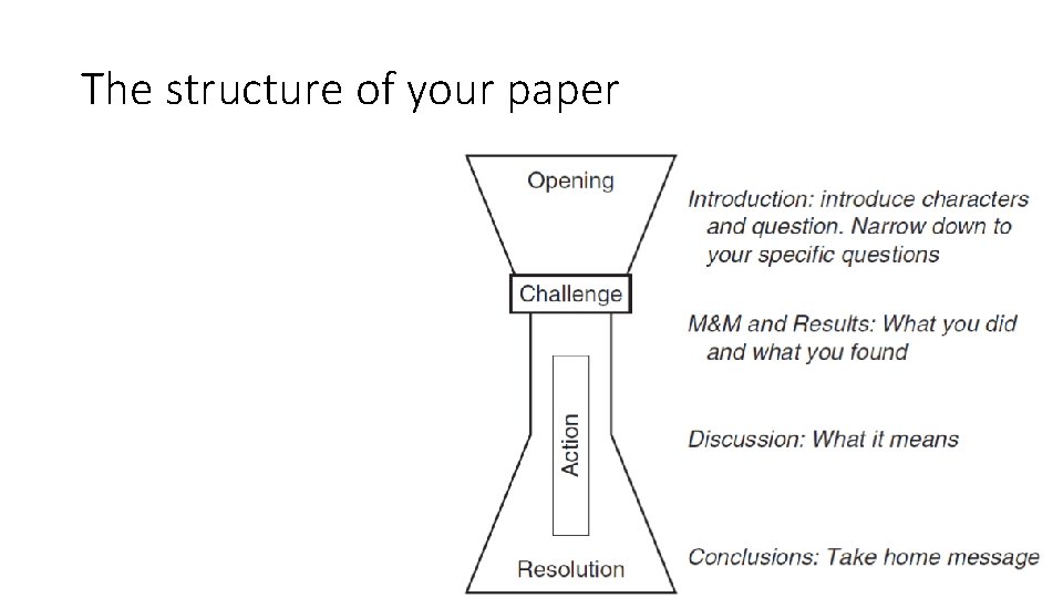 The structure of your paper The structure of your paper