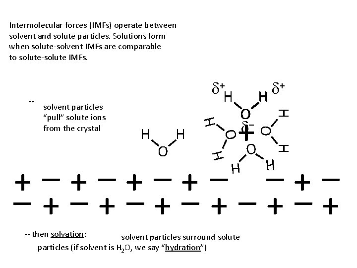Intermolecular forces (IMFs) operate between solvent and solute particles. Solutions form when solute-solvent IMFs