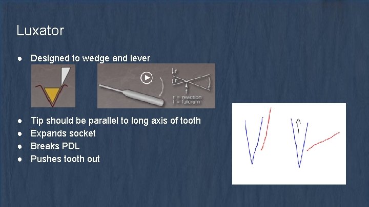 Luxator ● Designed to wedge and lever ● ● Tip should be parallel to