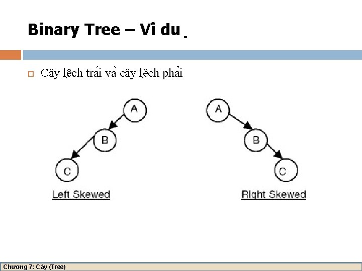 Binary Tree – Vi du Cây lê ch tra i va cây lê ch