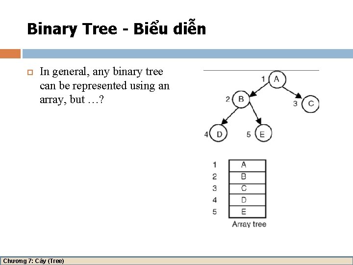 Binary Tree - Biểu diễn In general, any binary tree can be represented using