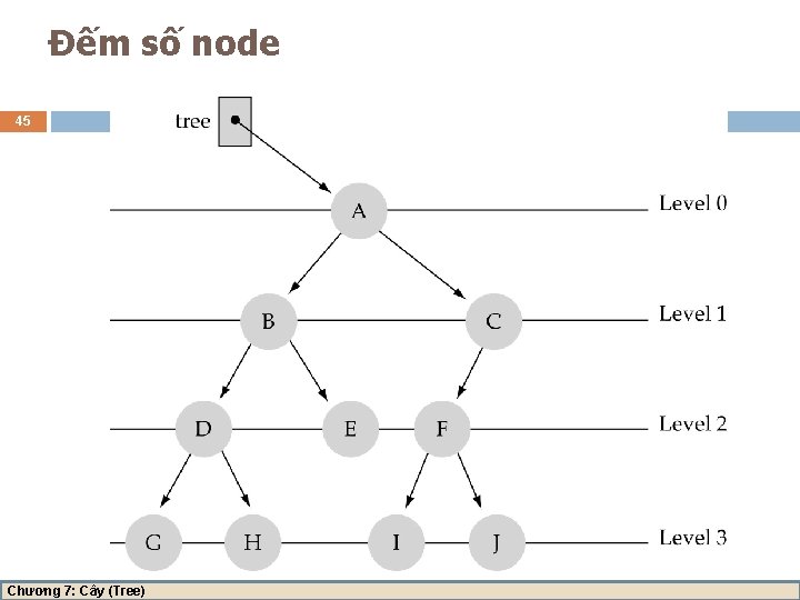 Đếm số node 45 Chương 7: Cây (Tree) 